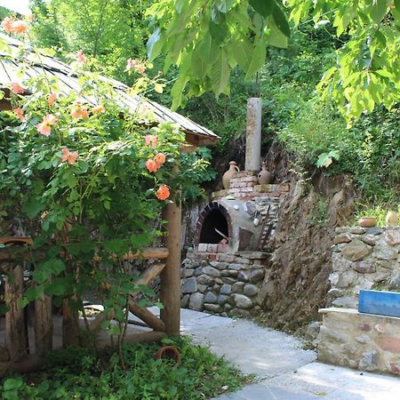 Nikala'S House Ξενοδοχείο Borjomi Εξωτερικό φωτογραφία
