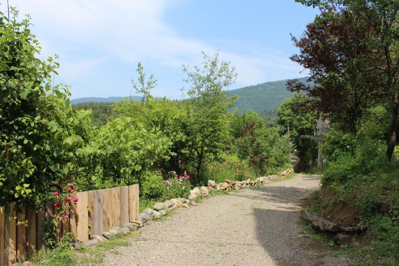Nikala'S House Ξενοδοχείο Borjomi Εξωτερικό φωτογραφία