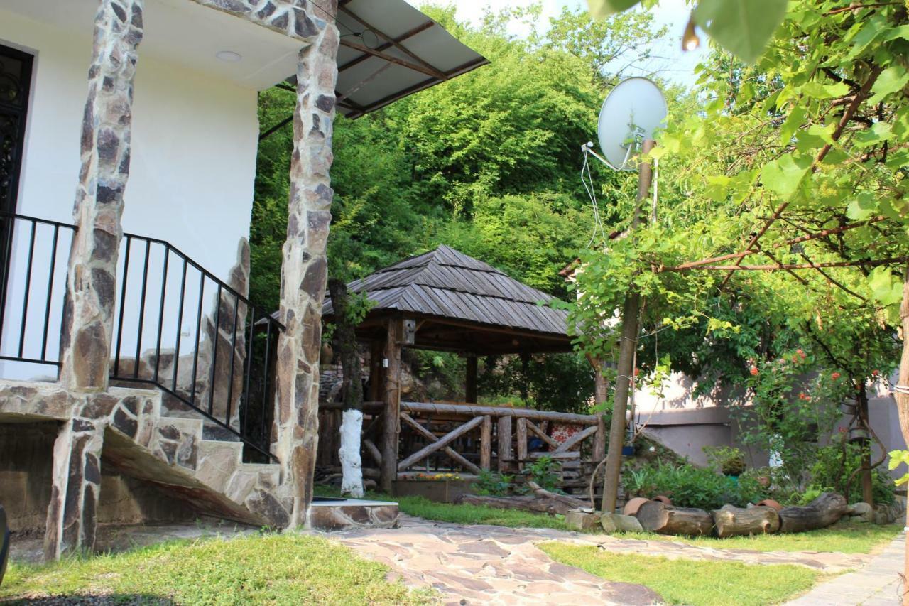 Nikala'S House Ξενοδοχείο Borjomi Εξωτερικό φωτογραφία