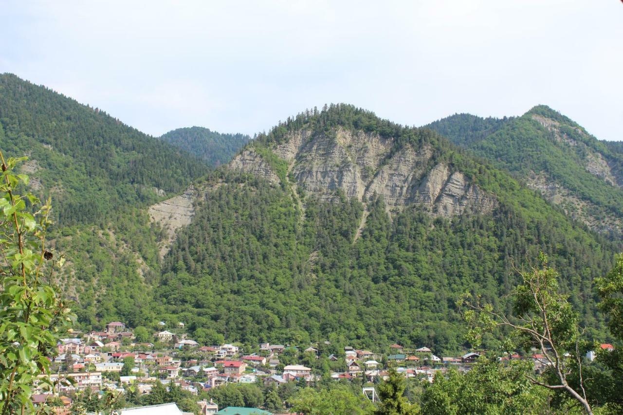 Nikala'S House Ξενοδοχείο Borjomi Εξωτερικό φωτογραφία